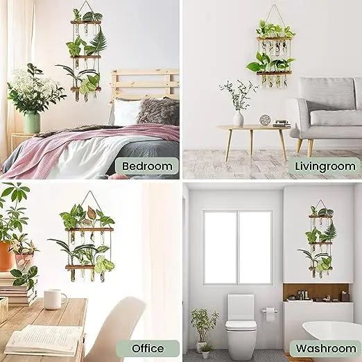 Hydroponic Glass Planter Wall Hanging